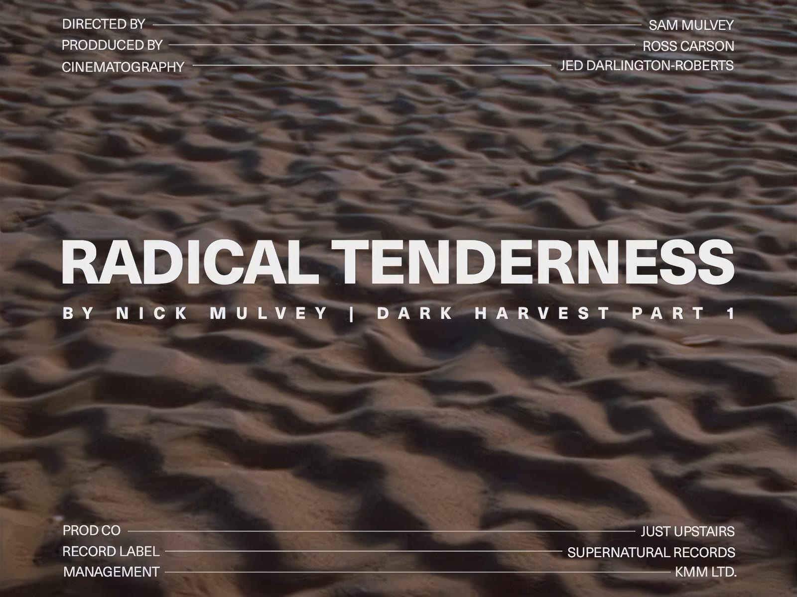 Radical Tenderness - Nick Mulvey still 3