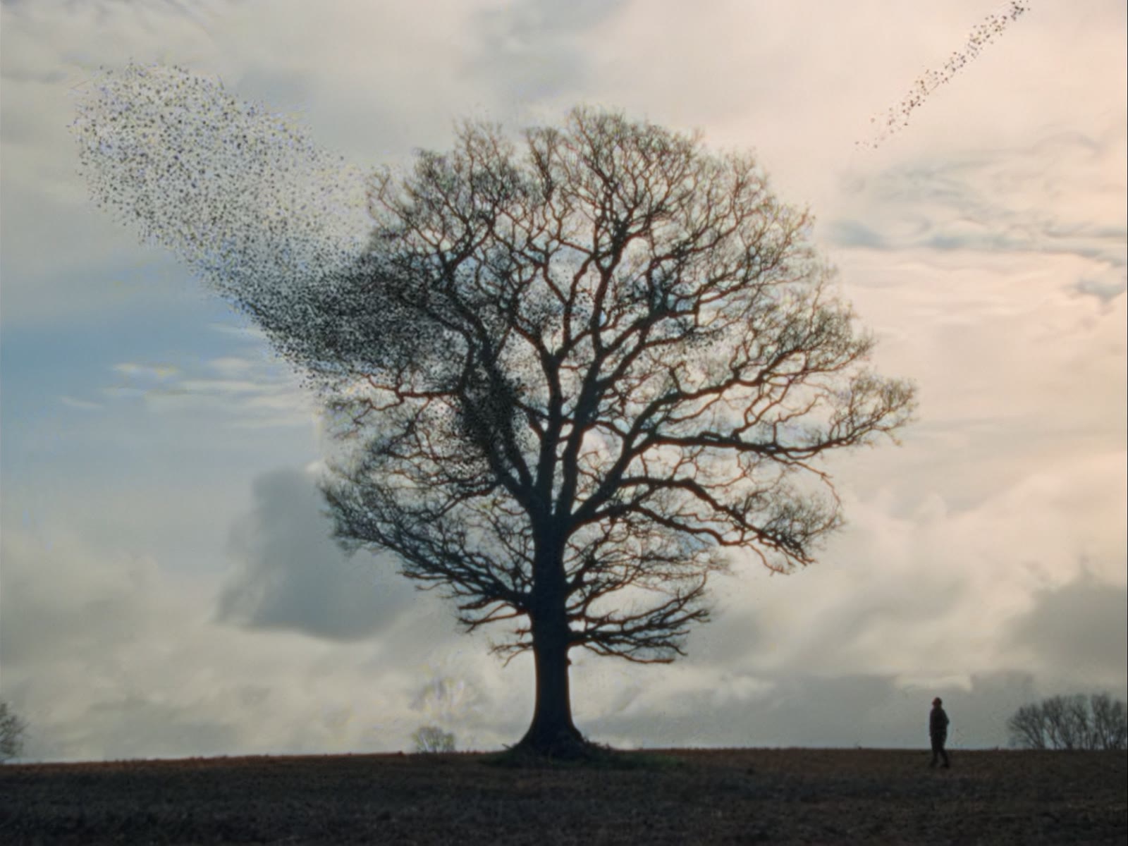 Radical Tenderness - Nick Mulvey still frame
