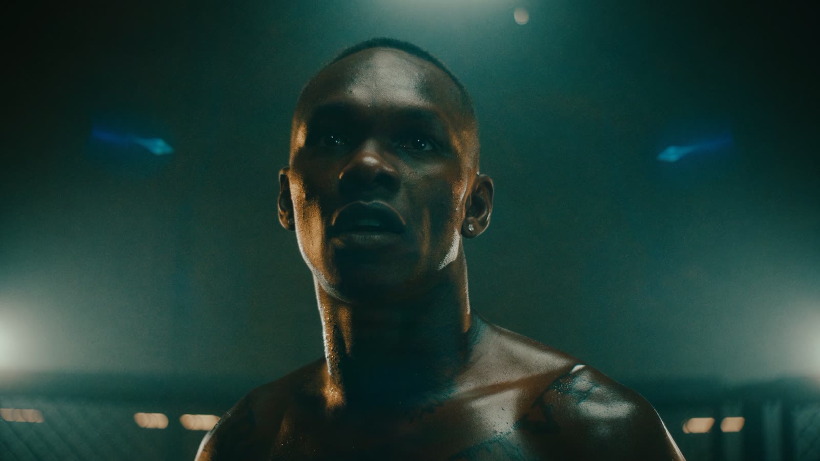 The Champion Mindset - Tradify  still 3
